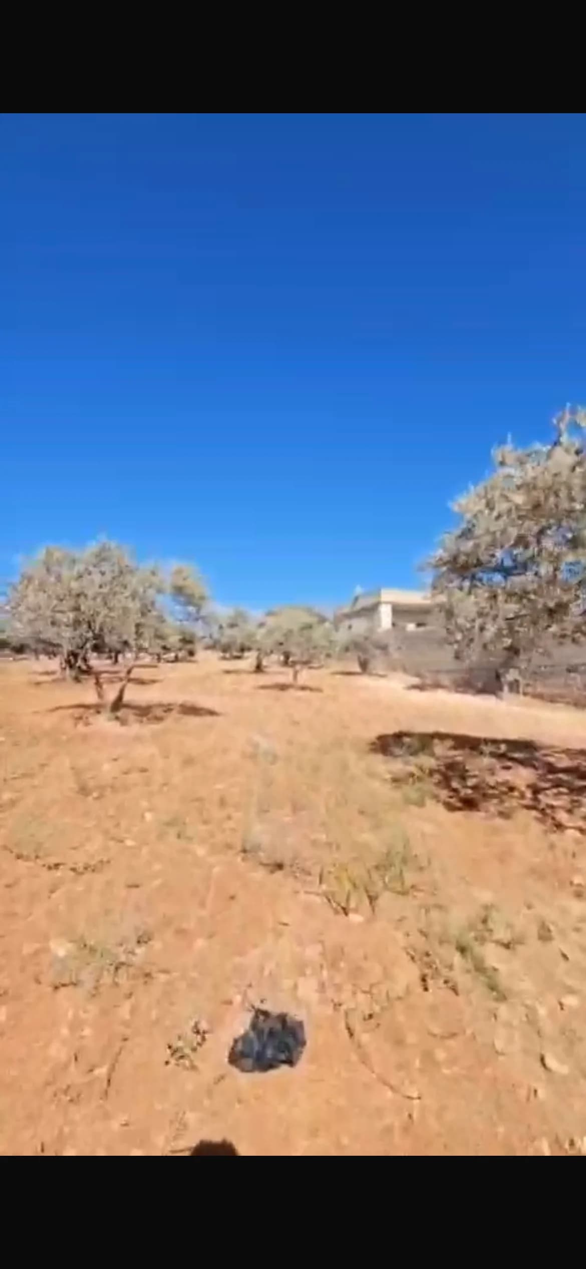 أرض للبيع في مركز المحافظة، إدلب