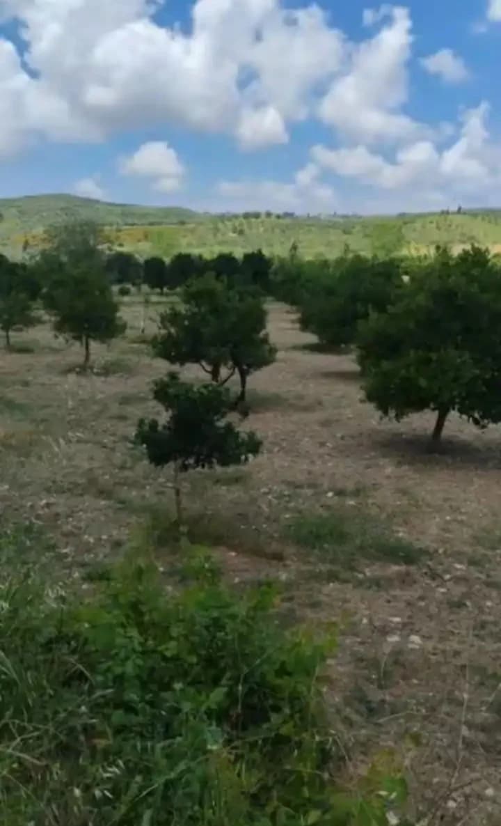 أرض للبيع في Setmarkho، اللاذقية