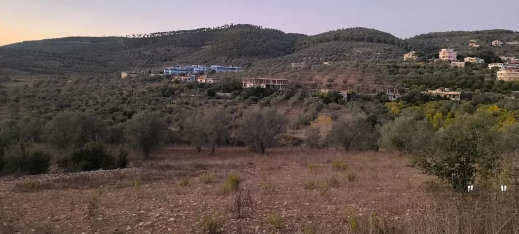 أرض للبيع في صافيتا، طرطوس