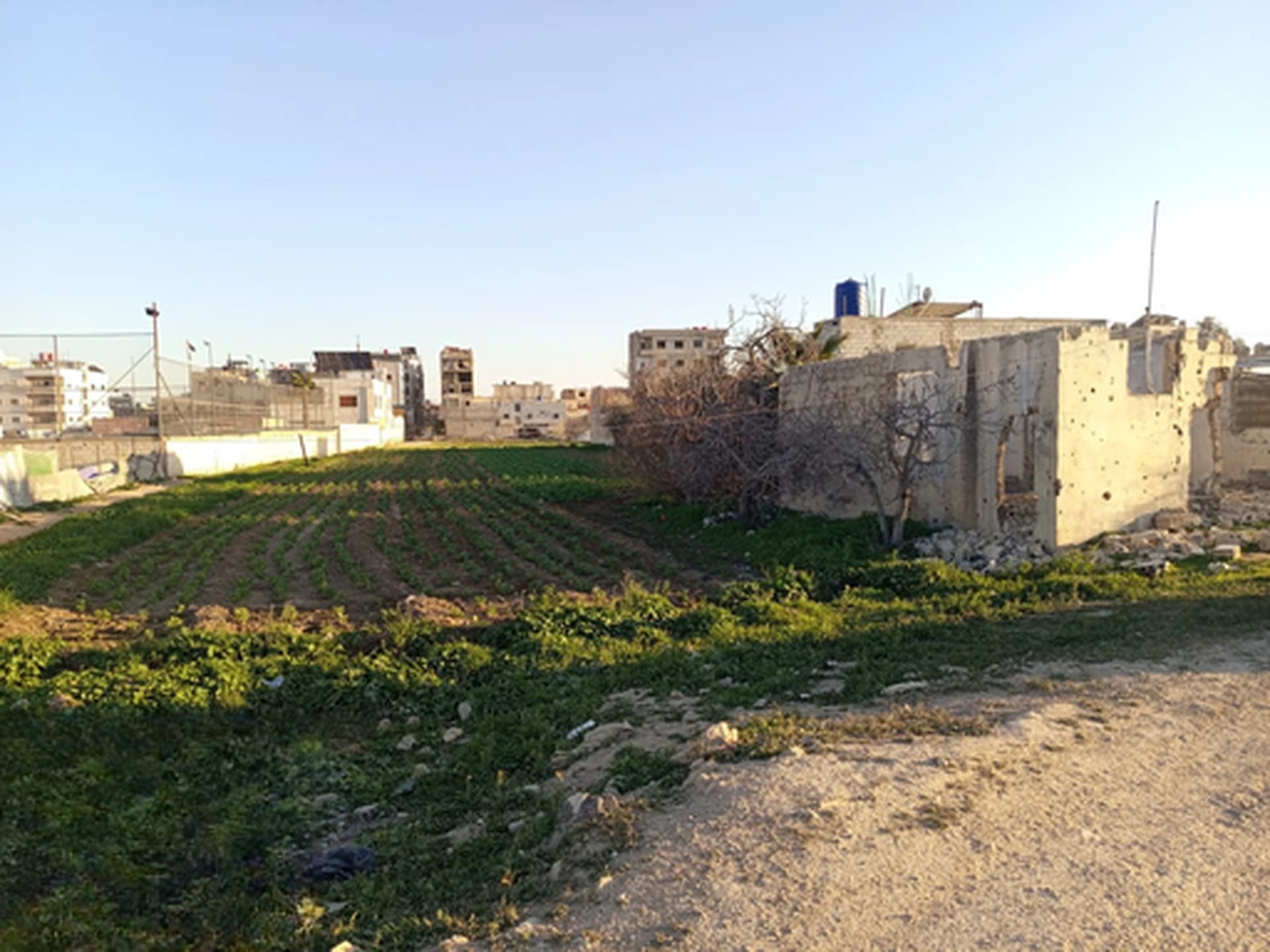 أرض للبيع في عربين، دمشق