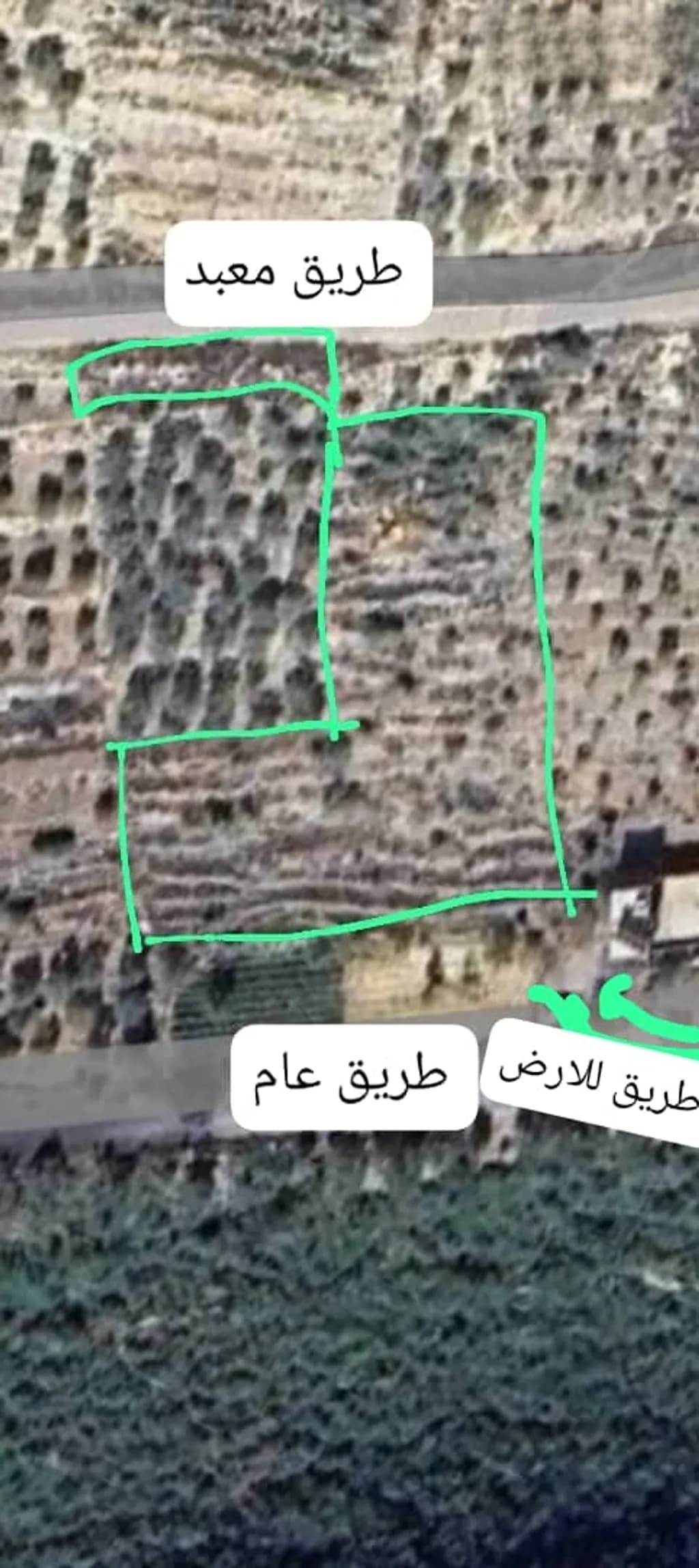 أرض للبيع في بانياس، طرطوس