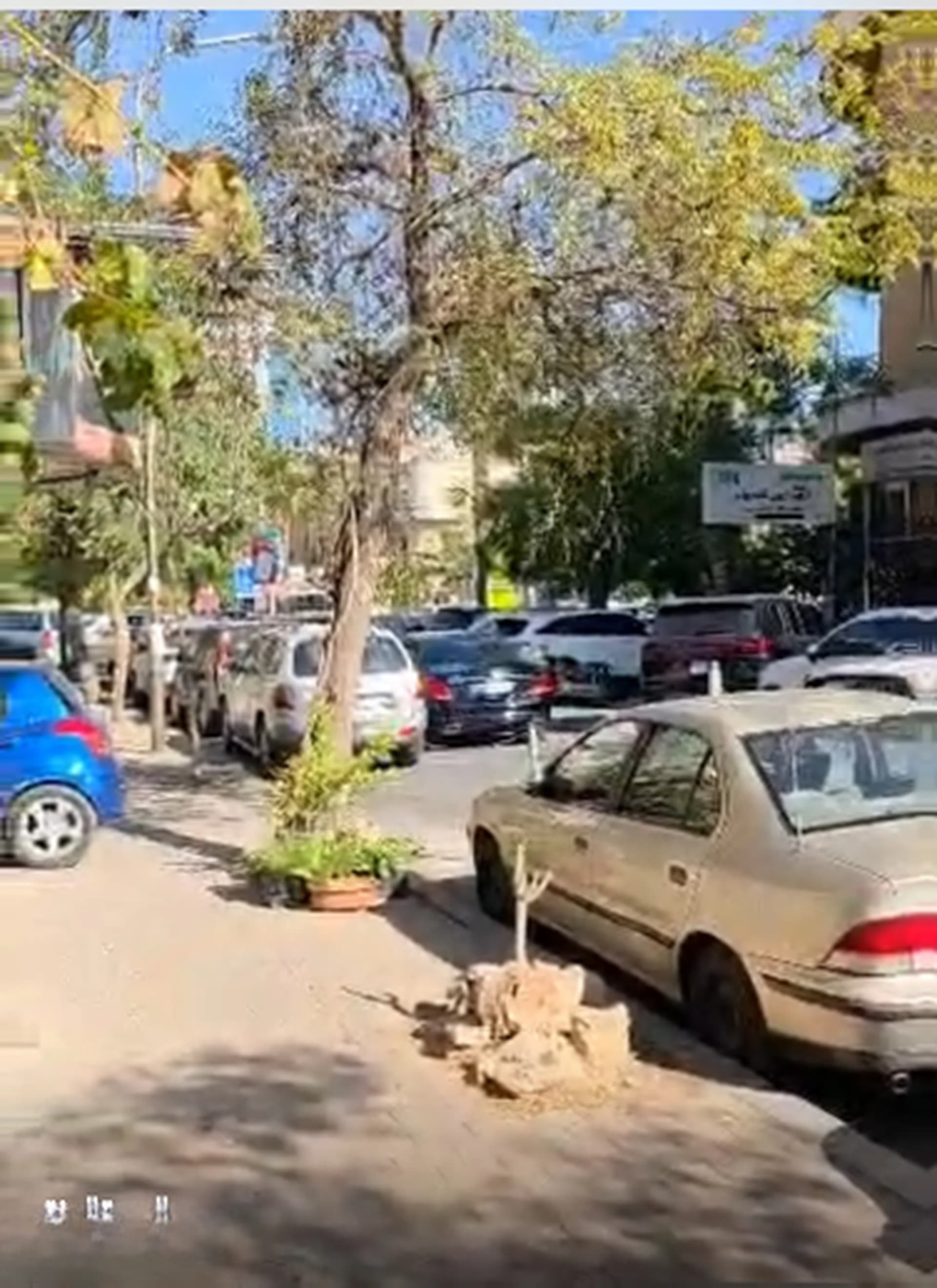 بيت للبيع في الروضة، دمشق
