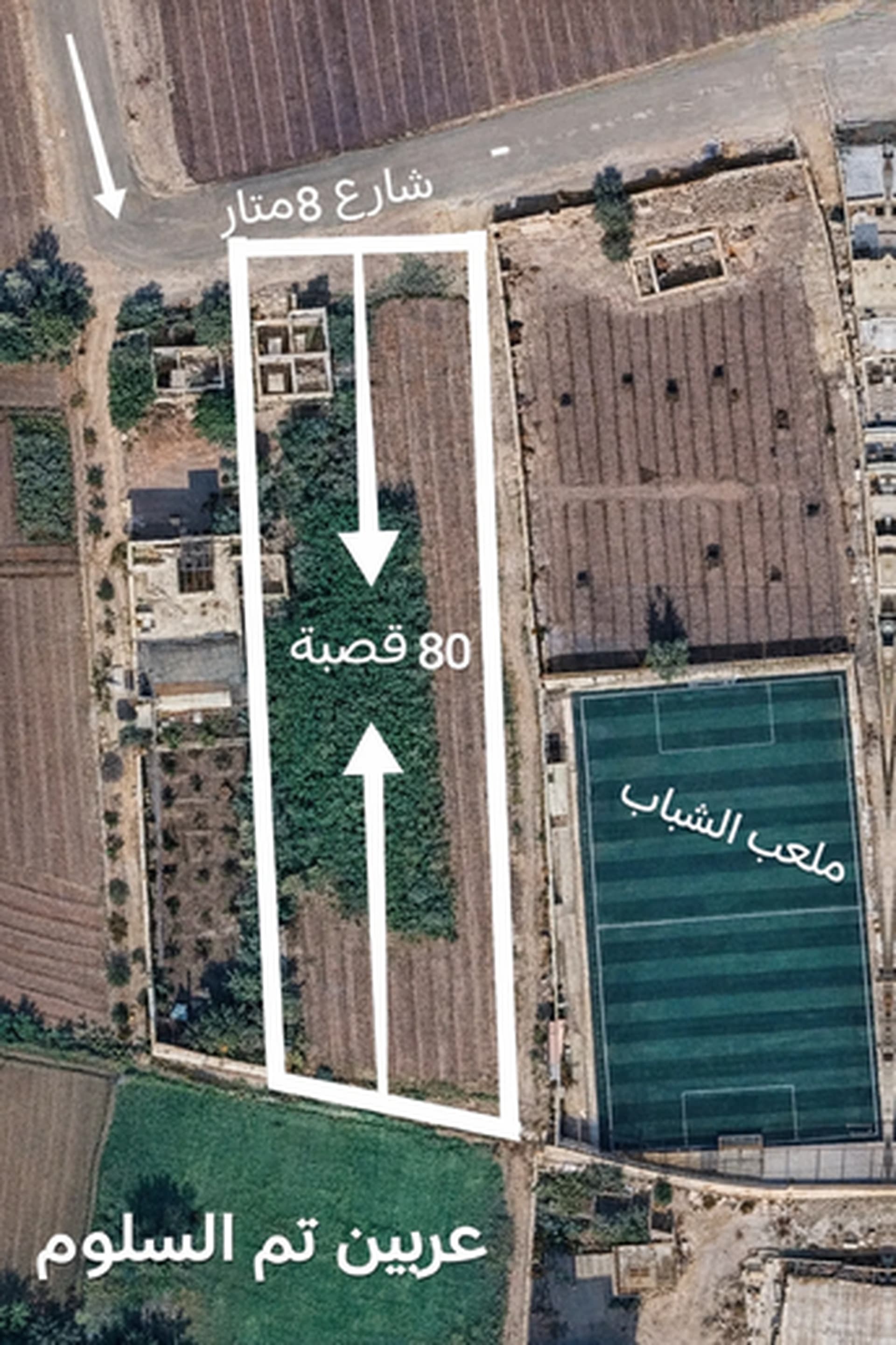 أرض للبيع في عربين، دمشق