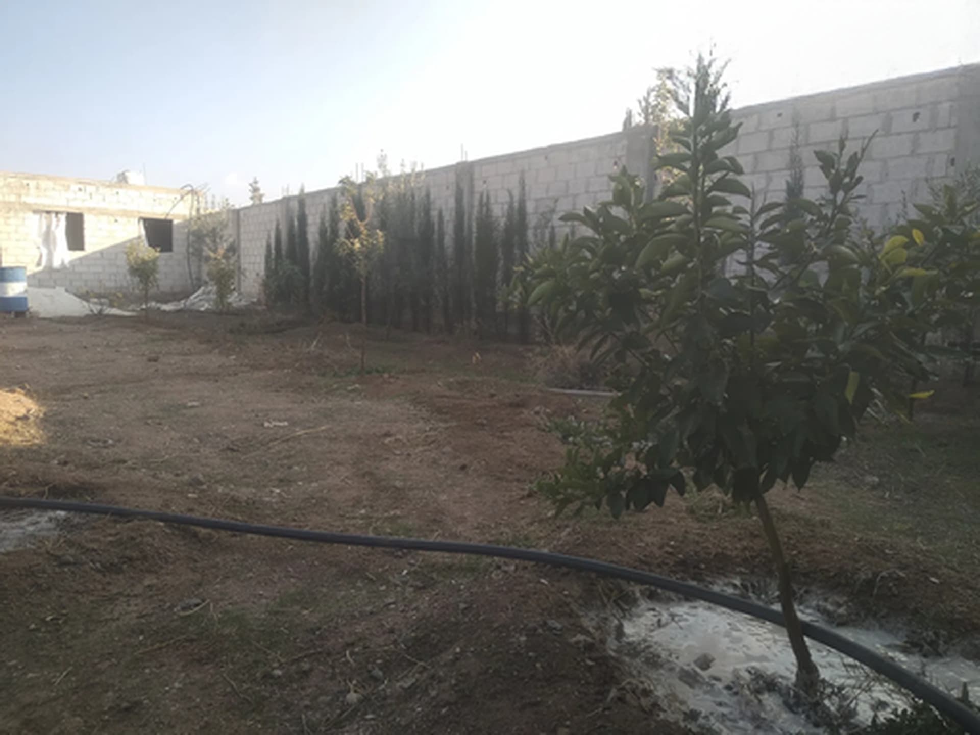 أرض للبيع في الكسوة، دمشق