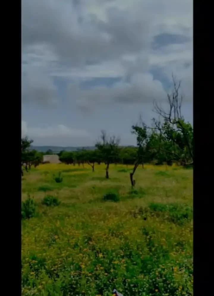 أرض للبيع في Skoubien، اللاذقية