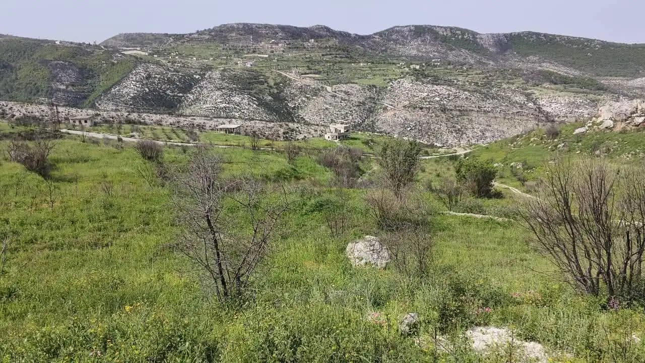 أرض للبيع في Kansaba / Wadi Basor، اللاذقية